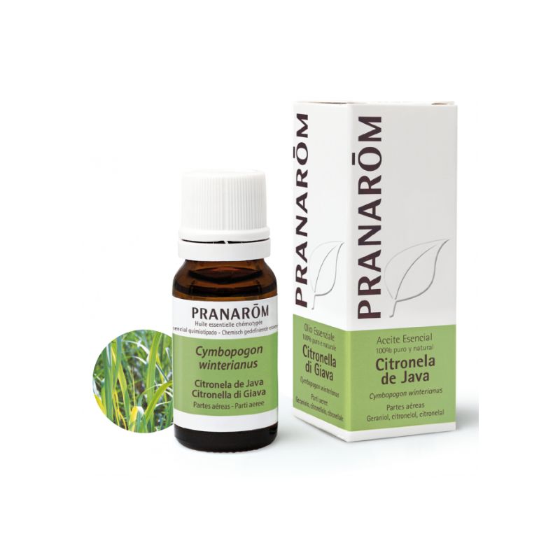 PRANAROM AE CITRONELA JAVA 10ML BIO PRANAROM AE CITRONELA JAVA 10ML BIO
