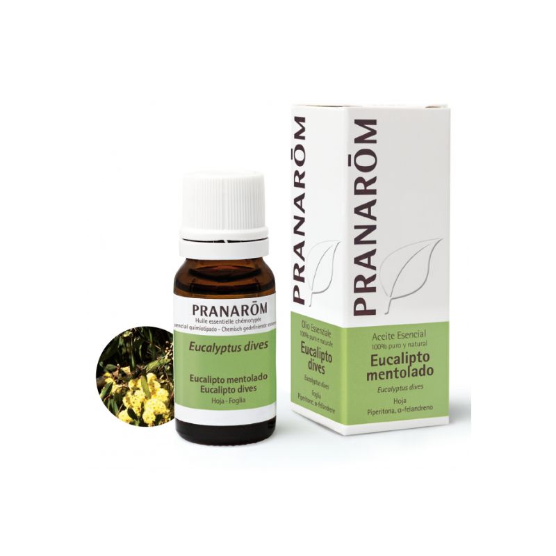 PRANAROM AE EUCALIPTO MENTOLADO 10ML PRANAROM AE EUCALIPTO MENTOLADO 10ML