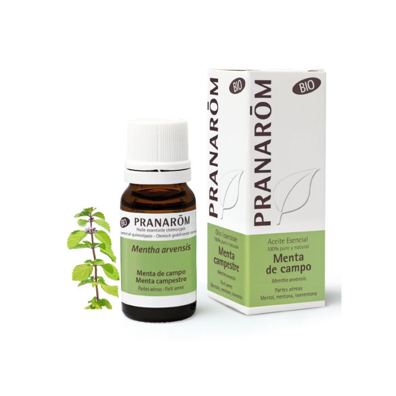 PRANAROM AE MENTA DE CAMPO 10ML BIO PRANAROM AE MENTA DE CAMPO 10ML BIO