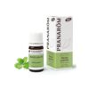 PRANAROM AE MENTA PIPERITA 5ML BIO