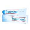 TRAUMEEL S POMADA,100 g